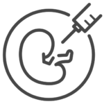 embryo_14233395